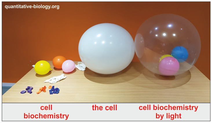 cellbiochembaloon