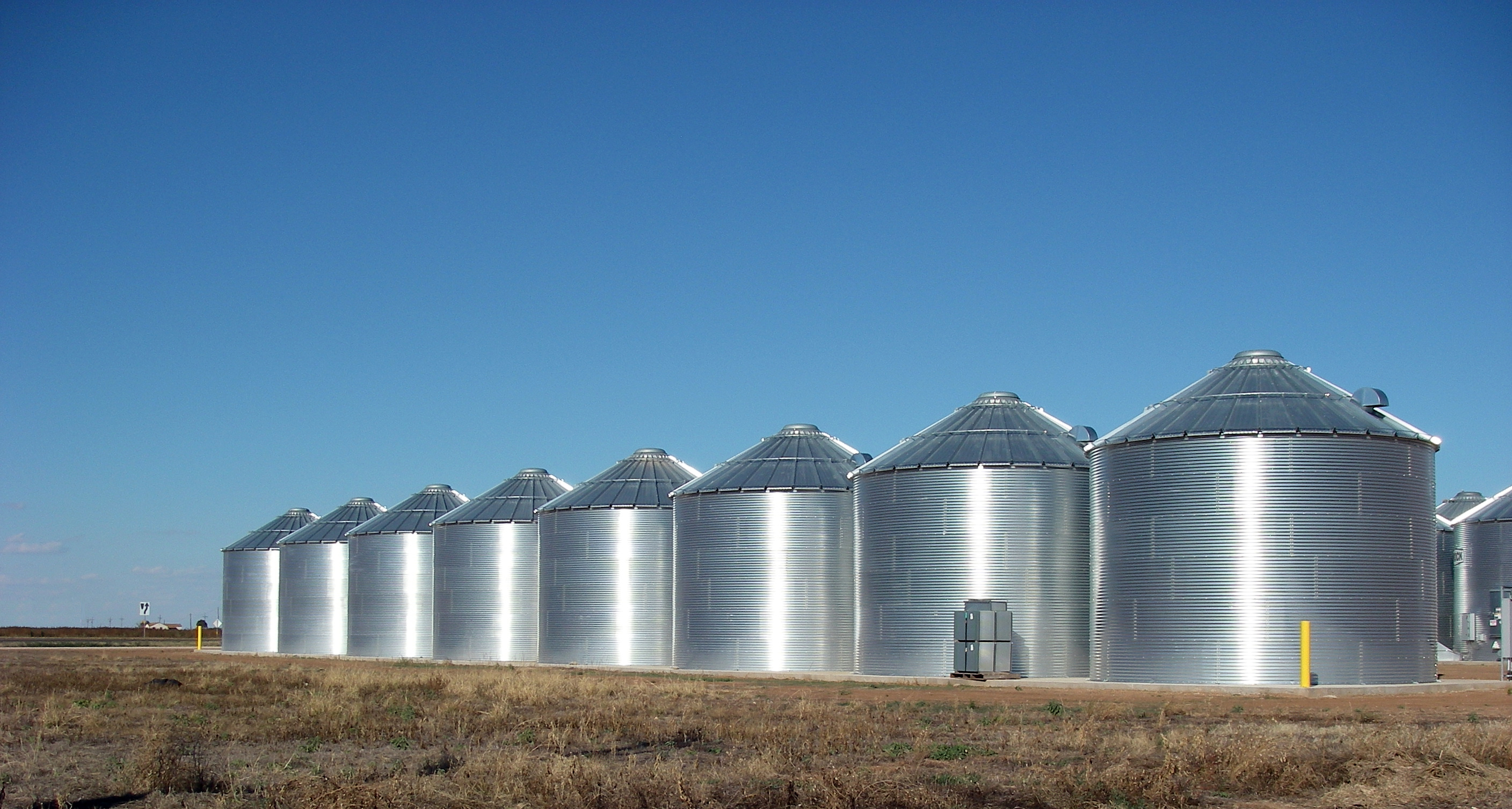 Ralls_Texas_Grain_Silos_2010