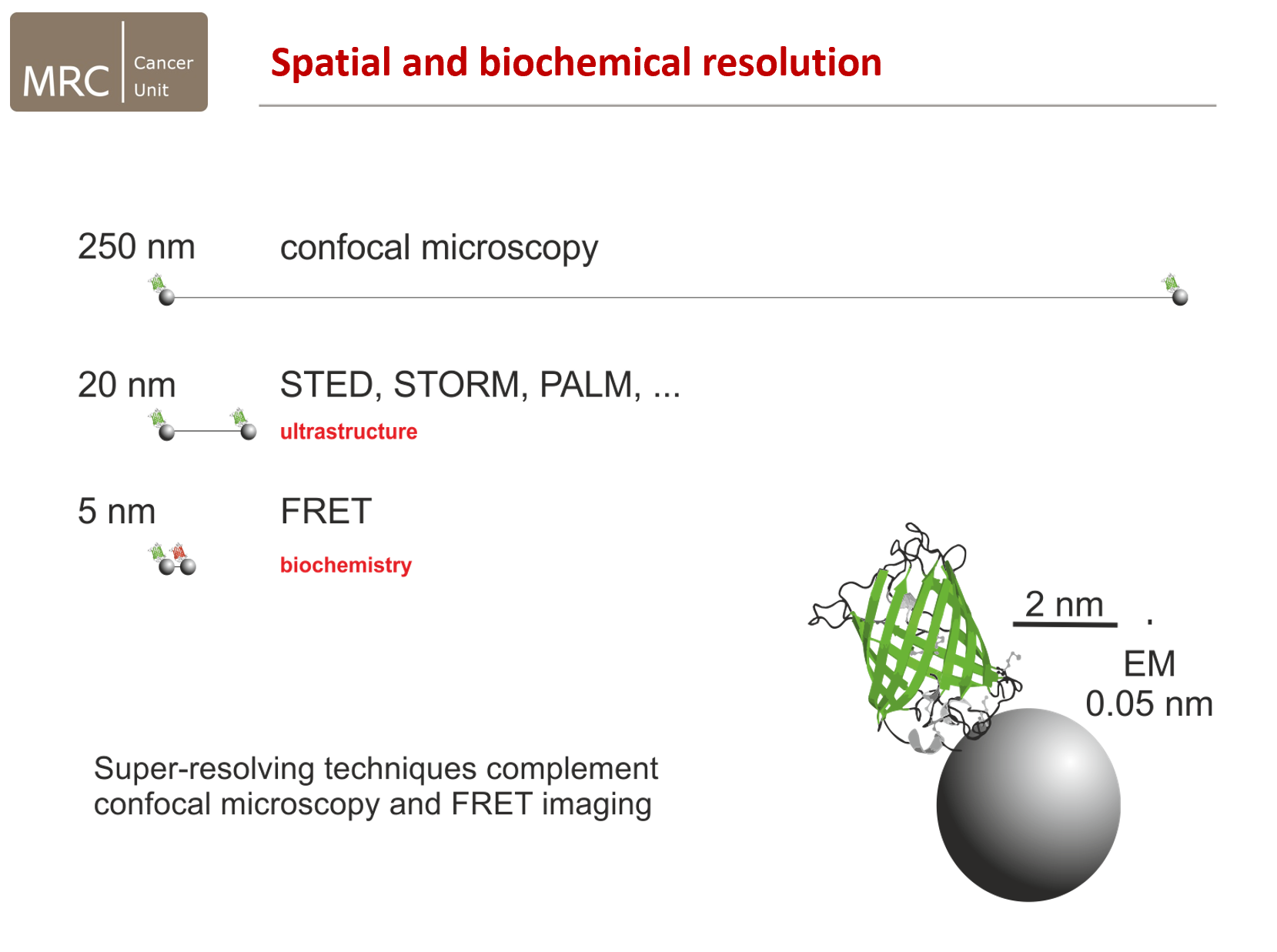 It is yellow, the two proteins must interact!