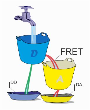 Don’t fret about it, just get it (a FRET primer – Part I)